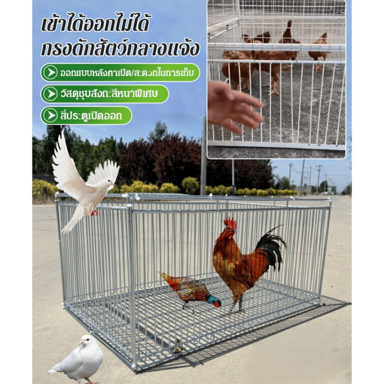 เข้าได้ออกไม่ได้ไซส์ XXL กรงดักสัตว์อเนกประสงค์สำหรับใช้กลางแจ้ง กรงดักแมว กรงดักสัตว์ พับได้ ดักแมวจรดักสุนัขพันธุ์เล็ก