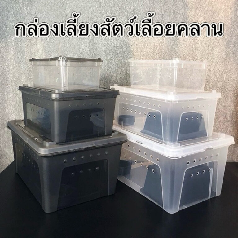 Reptile Box กล่องเลี้ยงสัตว์เล็ก สัตว์เลื้อยคลาน สัตว์เล็ก ผสมพันธุ์สดกล่อง งู แมงมุม ตุ๊กแก ฮอร์นฟรอก ตะขาบ แมงป่อง