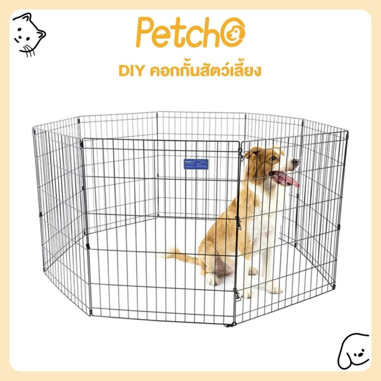 Petcho คอกกั้นสัตว์เลี้ยง คอกกั้นสุนัข คอกสนามสุนัข ประกอบง่าย DIY กรงกระต่าย