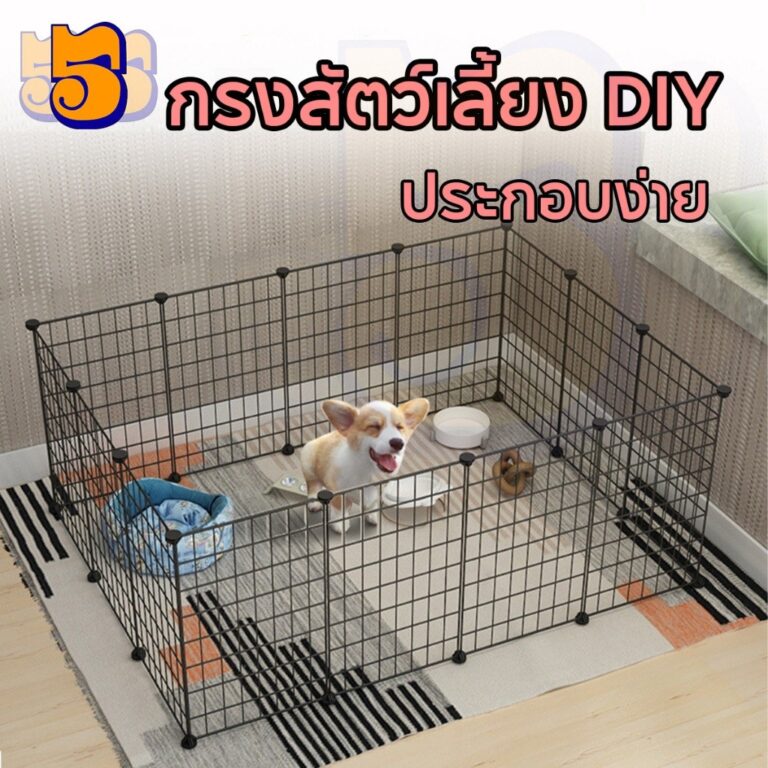 555PET อุปกรณ์ประกอบกรงสัตว์เลี้ยง DIY กรงแมว ลังสุนัข ราคาไม่แพงและทนทาน