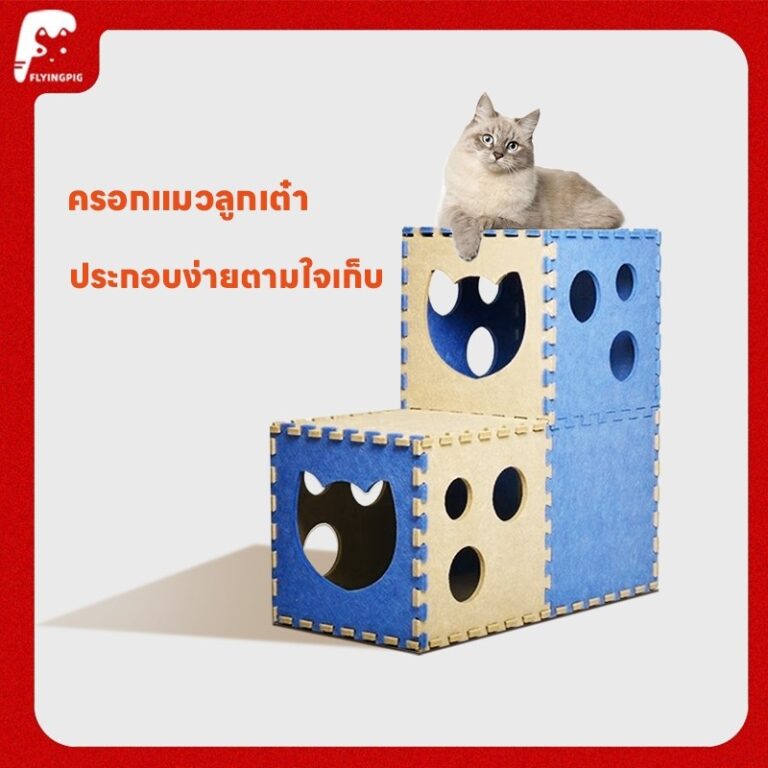 บ้านแมวทรงลูกเต๋า DIY ประกอบเองง่าย บ้านแมว สำหรับสัตว์เลี้ยงทุกขนาด แมว