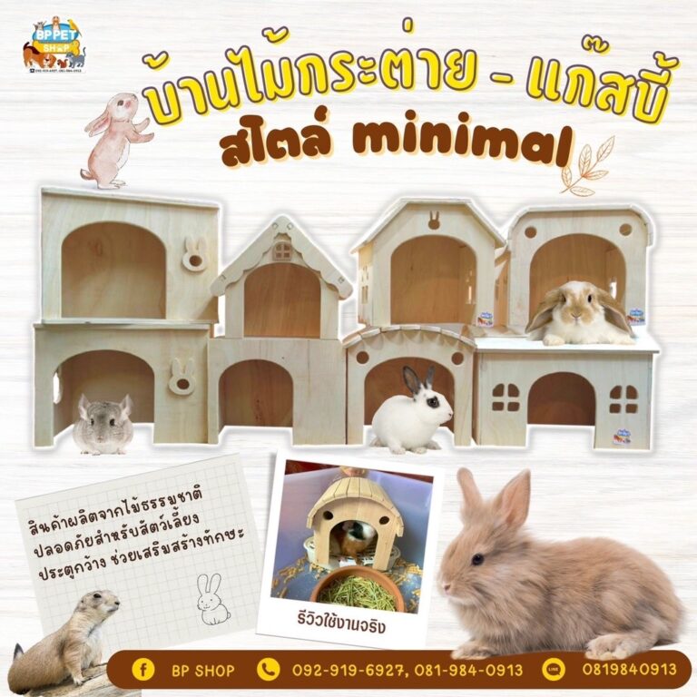 IPshop บ้านกระต่าย บ้านแกสบี้ บ้านไม้สัตว์เลี้ยง บ้านไม้กระต่าย แกสบี้ แพรี่ด็อก ชินชิลล่า ขนาดใหญ่ มีหลายแบบ