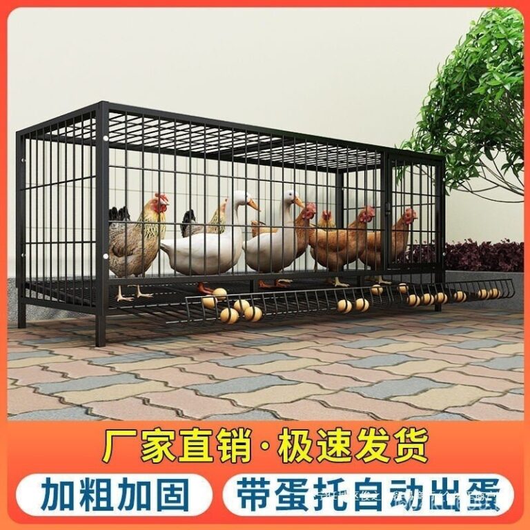 คอกไก่ขนาดใหญ่พิเศษพับได้ แพ็คเกจอัตโนมัติ ใช้ในบ้าน คอกไก่ที่มีไข่กลิ้ง คอกเหล็กหนา WOG1