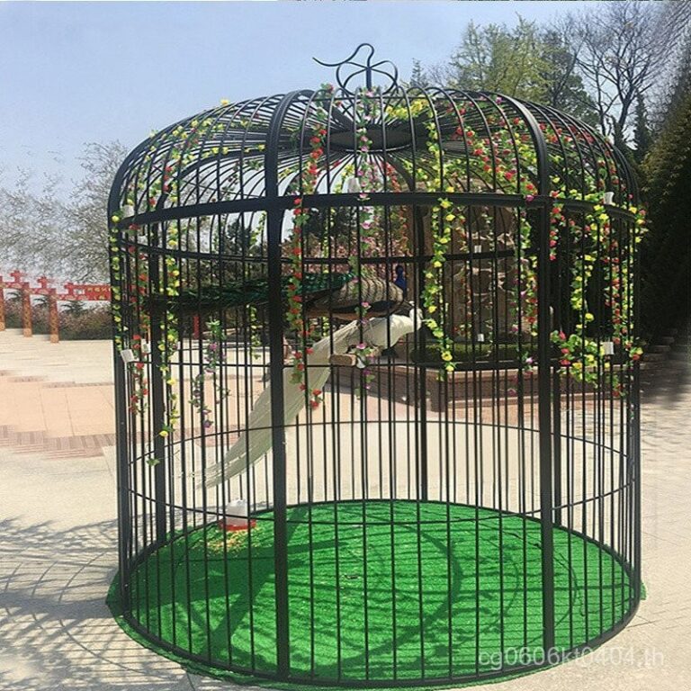 คอกนก Parrot Park Mynah Budgerigar Pigeon คอกนกกลางแจ้งขนาดใหญ่พิเศษนกยูงพร้อมการตกแต่งตาข่ายศิลปะเหล็ก BISF