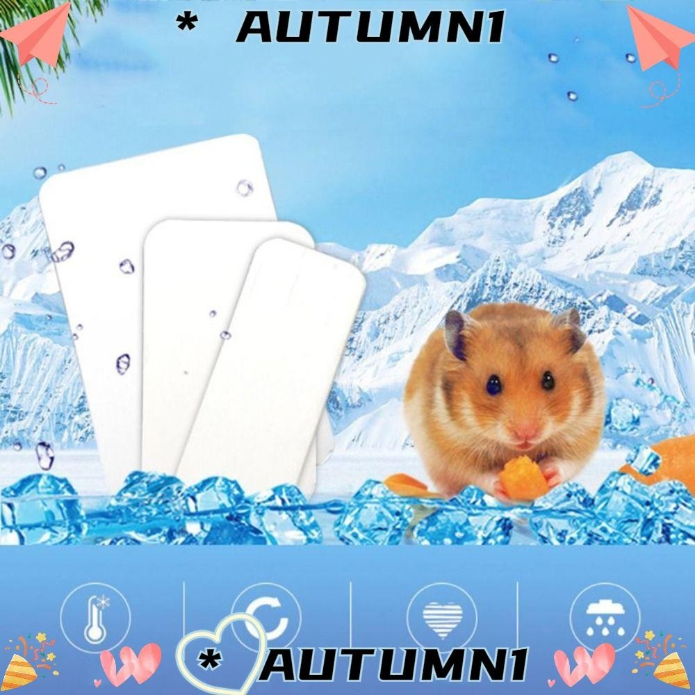 AUTUMN1 แผ่นทาความเย็นหนูแฮมสเตอร์ แผ่นทาความเย็นสาหรับสัตว์เลี้ยงเงินอลูมิเนียมพลาสติก อุปกรณ์กระต่ายหนูแฮมสเตอร์เย็นสัตว์เลี้ยงแผ่นน้าแข็ง