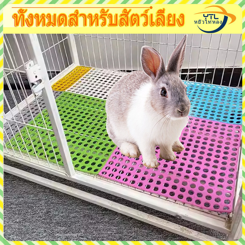 YTL แผ่นรองกรง กันลื่น แผ่นรองพื้นกรง แผ่นรองกรงสัตว์เลี้ยง PVC 3030 จัดส่งจากประเทศไทย