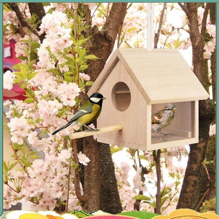 บ้านนกกลางแจ้งบ้านนกไม้โปร่งใสสาหรับนอกแขวนบ้านนกออกแบบตกแต่ง