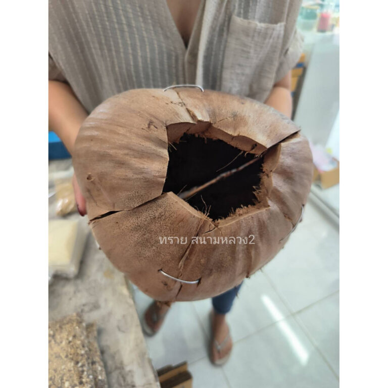 ลูกมะพร้าว เปิดตรงกลางได้ บ้านนกหงส์หยก ชูการ์ไกรเดอร์ กระรอก