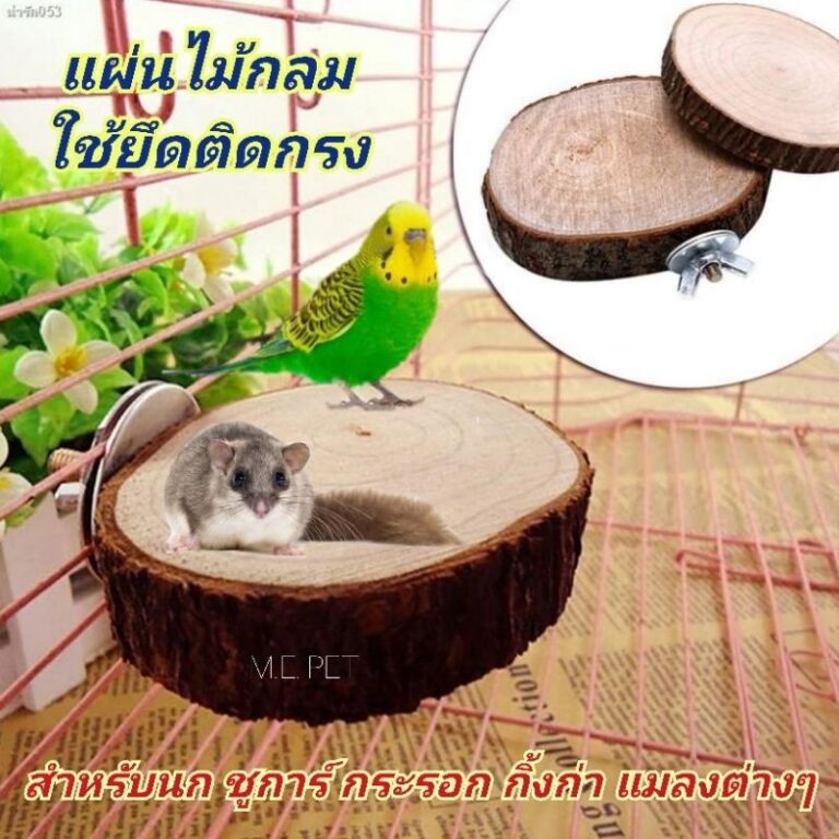 แผ่นไม้กลม ใช้ยึดติดกรง สำหรับนกต่างๆ กระรอก ชูการ์ กิ้งก่า แมลงต่างๆ ไม้กลม