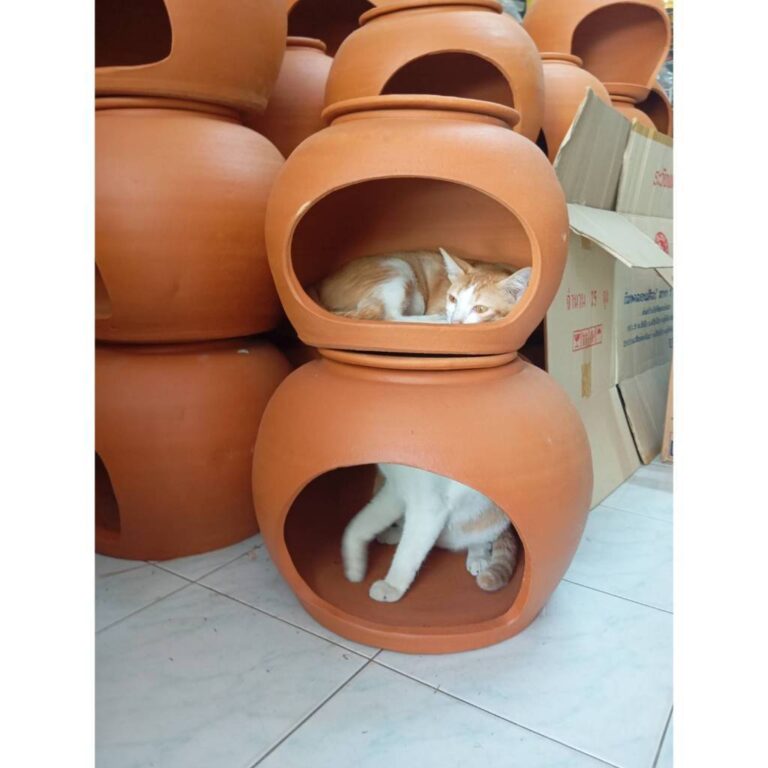 บ้านโอ่งดินเย็น 18 นิ้ว ลดอาการฮีสโตรก น้องแมว 5 โล นอนได้ ได้ เพราะเย็นสบาย ด้านบนมีฝาปิด รับประกันระหว่างขนส่ง