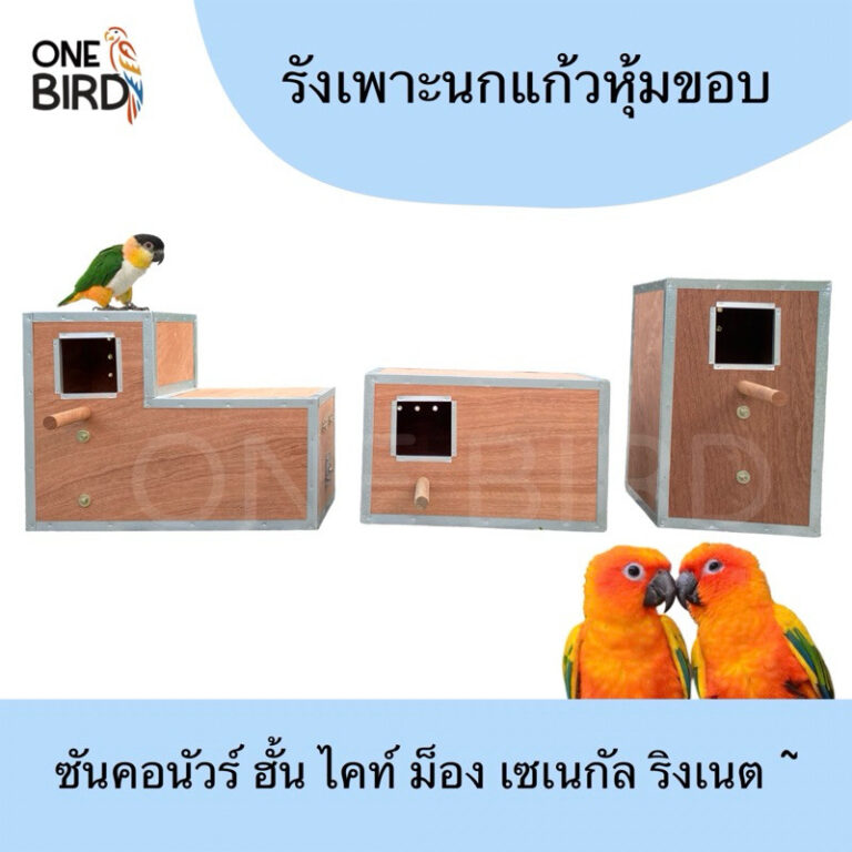 รังเพาะนกเเก้วซันคอนัวร์ กล่องนอนทำจากไม้ใหม่AAA บ้านนก ซัน กรีนชีค ริงเนต ม็องค์ ไคท์