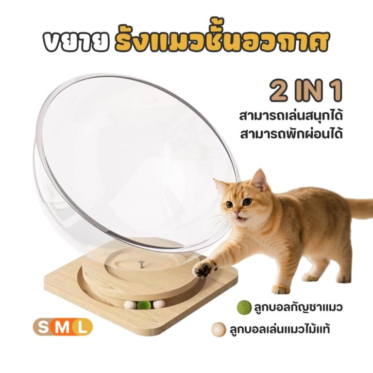 บ้านแมว รังแมวแคปซูลอวกาศ ที่นอนสัตว์เลี้ยง ที่นอนแมวของเล่นแมว จานเสียงไม้เนื้อแข็งอะคริลิค