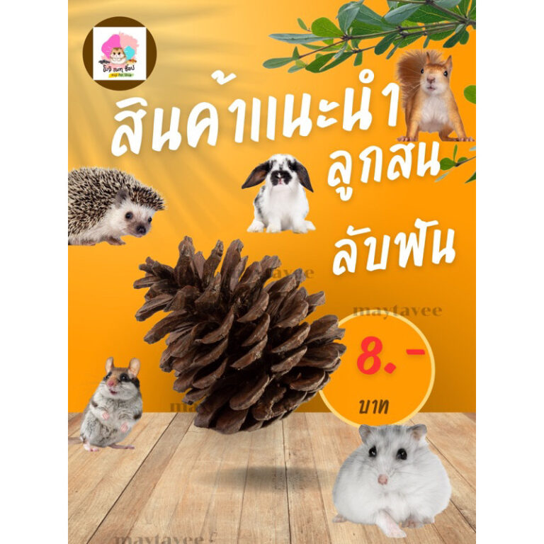 ลูกสน ลับฟันสัตว์เลี้ยง