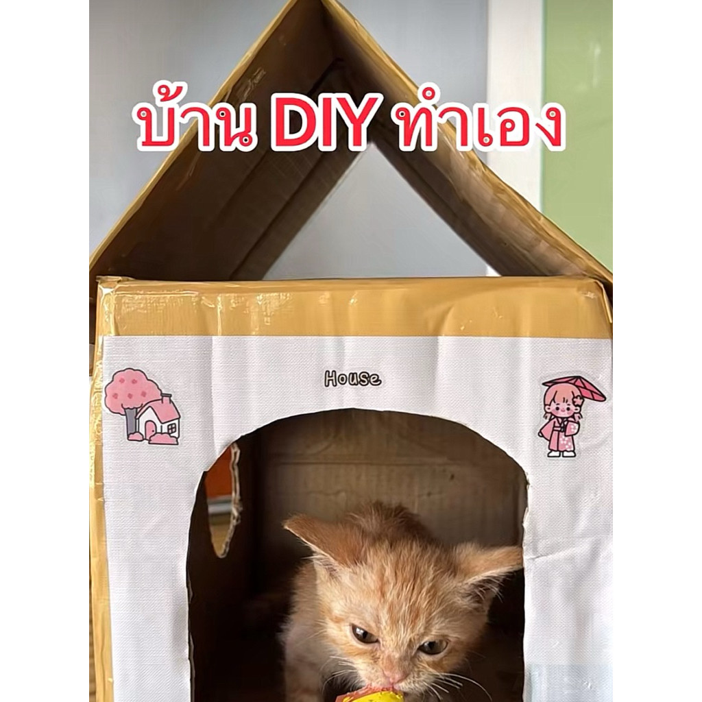 บ้านน้องแมวเด็ก มือ2 สภาพดี ราคาถูก
