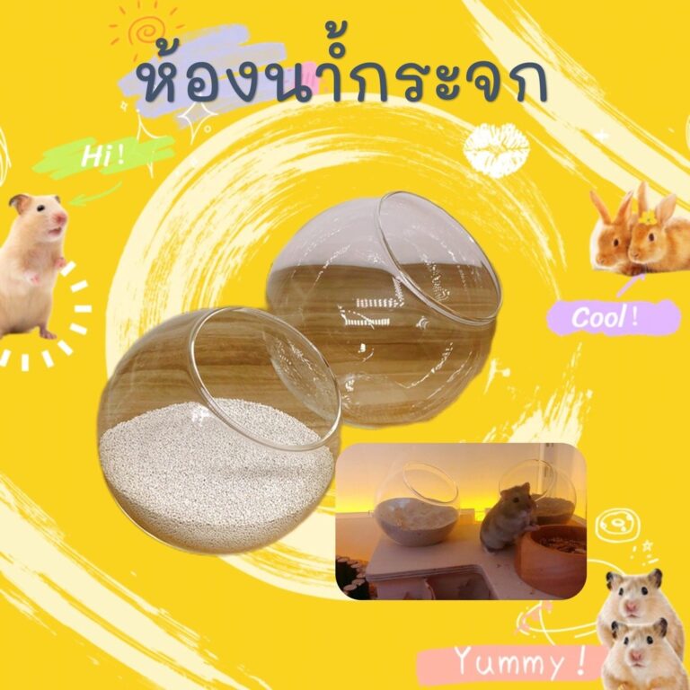 hammyscience หนูแฮมสเตอร์รังใส บ้านเย็น รังแก้วกรงหนูแฮมสเตอร์กระรอกหลายขนาดมินิเม่น bathroom