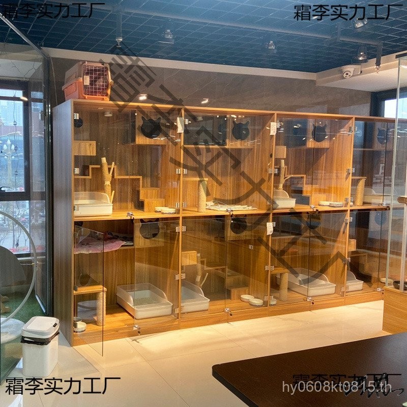 ร้านขายสัตว์เลี้ยง บ้านแมว แสดงกรง ตู้โชว์กรง ร้านกรง วิลล่าขนาดใหญ่ ประตูกระจก แมวอ้วน 1EO2