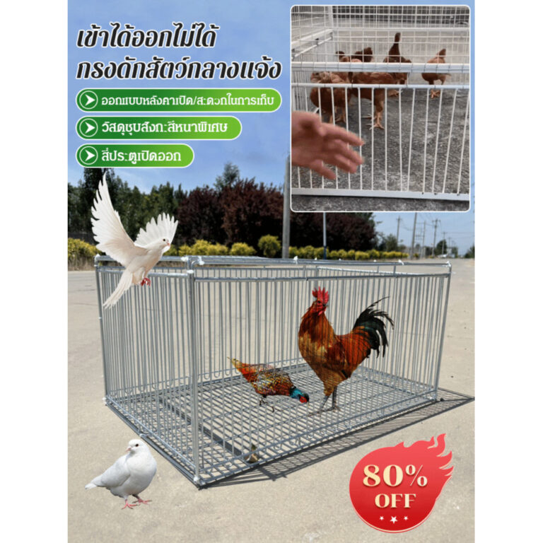 เข้าได้ออกไม่ได้กรงดักสัตว์อเนกประสงค์สำหรับใช้กลางแจ้ง กรงดักแมวและสุนัขและเคลื่อนย้ายสัตว์