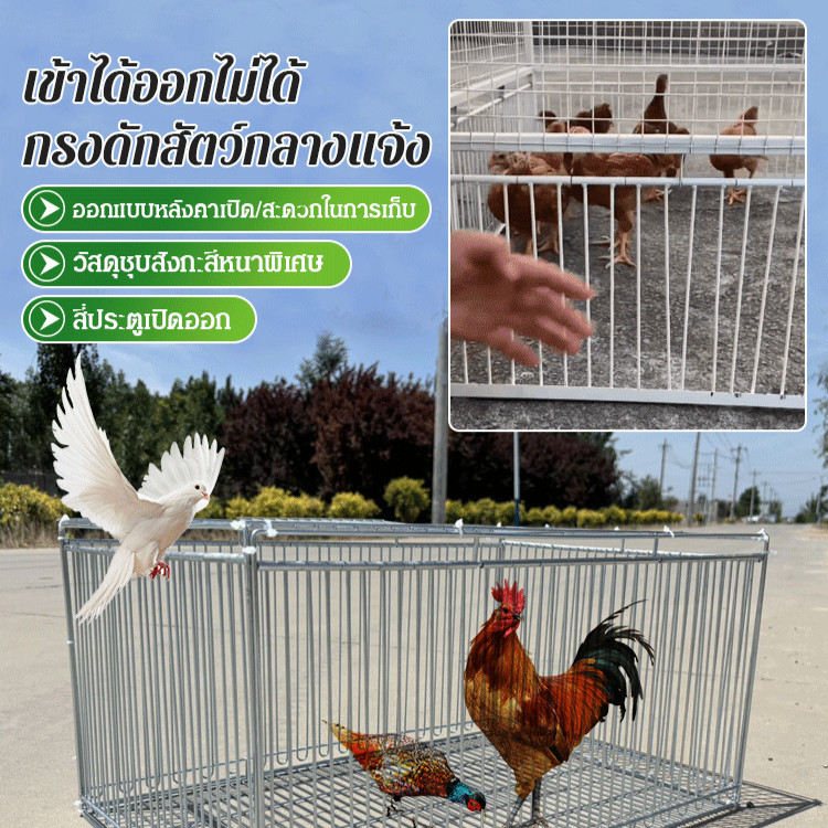 เฉพาะเข้าและออกกรงดักในครัวเรือนอเนกประสงค์หลังคาประตูอัตโนมัตินกพิราบกรงท้องฟ้าตกเข้าและออกกรงนกพิราบที่ใช้งาน