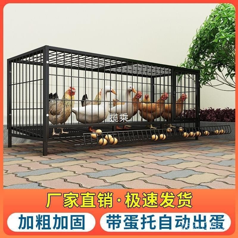 กรงพับได้ไข่ม้วนขนาดใหญ่พิเศษ กรงเหล็ก กรงไก่ กรงเพาะพันธุ์ไก่อัตโนมัติ ครัวเรือน