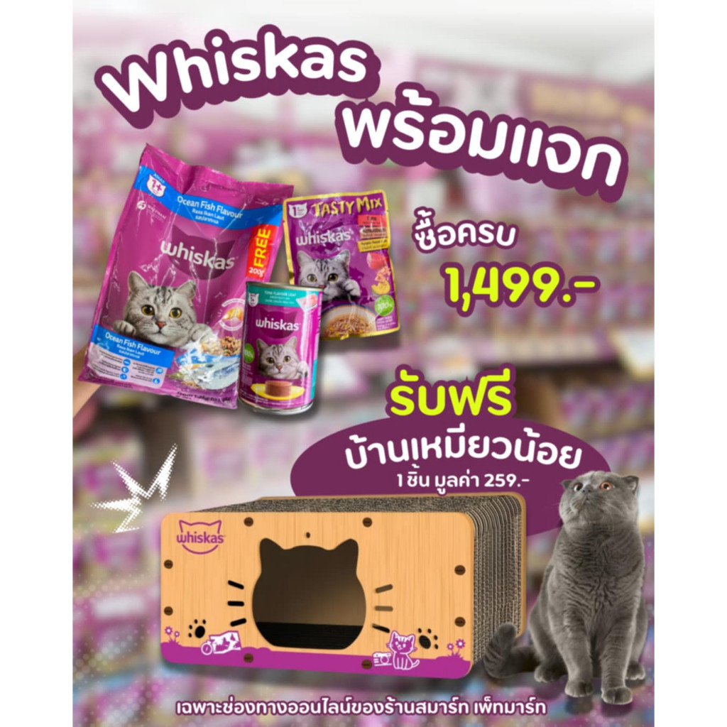 บ้านแมว แถมวิสกัส เมื่อซื้อครบ 1499 บาท