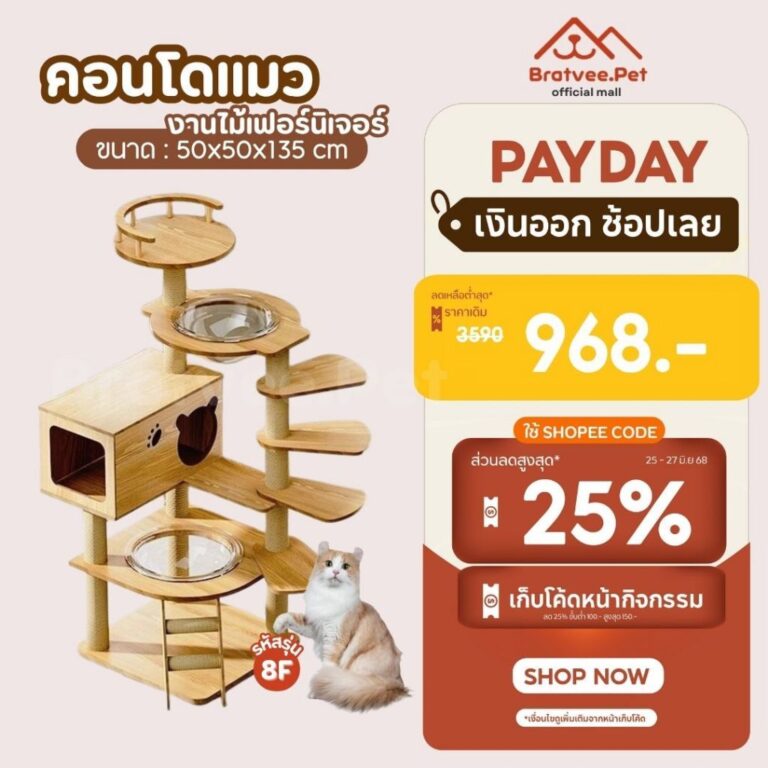 Bratvee คอนโดแมว งานไม้พรีเมียม พร้อมหลุมอะคริลิคใส 2 หลุม เฟอร์นิเจอร์สัตว์เลี้ยง