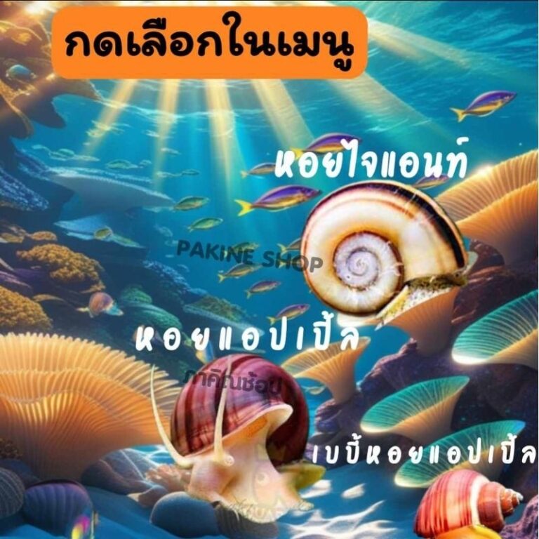 บ้านกุ้ง บ้านปลา ปะการังเทียม บ้าน หอยไจเเอนท์ หอยแอปเปิ้ล ตกแต่งตู้ปลา ช่วยกินตะไคร้น้ำ