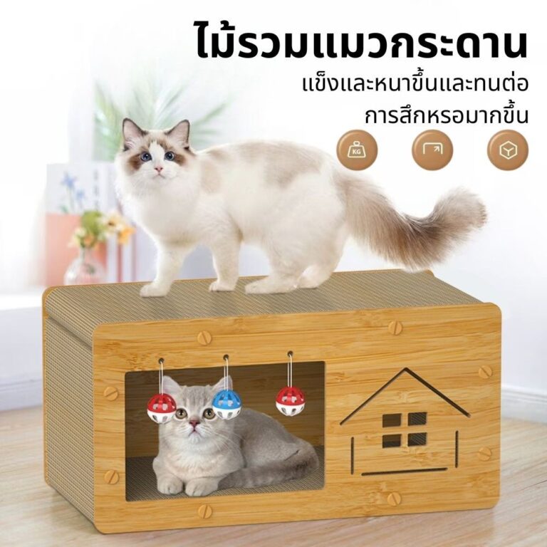 PawPals บ้านแมวกระดาษ เตียงแมว บ้านแมวขนาดใหญ่ และที่ลับเล็บ อเนกประสงค์ ที่ฝนเล็บแมว