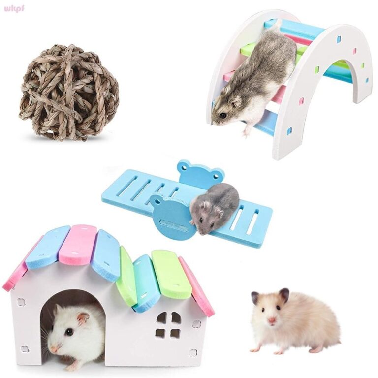 WKPFR893 ของเล่นหนูแฮมสเตอร์สายรุ้งสัตว์เลี้ยงฟันเคี้ยวของเล่นฟัน Care Seesaw ของเล่นไม้
