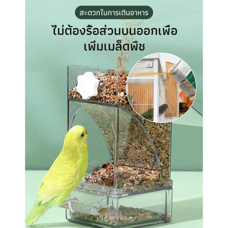 เป็นมิตรกับสิ่งแวดล้อม นกป้อน อุปกรณ์นก ชีวิตยุ่งวุ่นวาย สภาพแวดล้อมในการชมนก ทาความสะอาดง่าย ความจุขนาดใหญ่ กล่องอาหารนก เครื่องป้อนอาหารอัตโนมัติ วัสดุเกรดอาหาร มนุษยธรรม