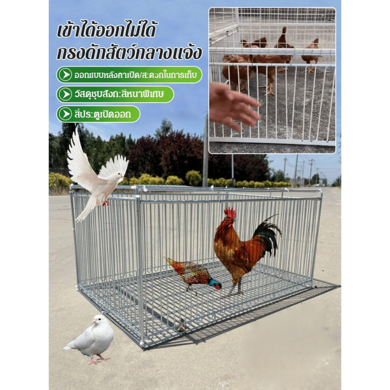 กรงดักสัตว์เลี้ยงป้องกันการหลบหนี เข้ารหัส อเนกประสงค์ ง่ายต่อการนำออกไปกลางแจ้ง