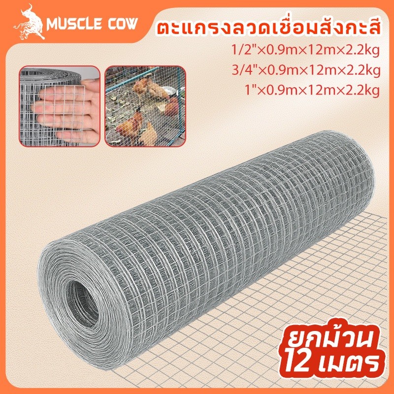 MUSCLE COW ลวดตาข่าย ชุบกัลวาไนซ์ ตาข่ายกรงไก่ ตาข่ายกรงนก ตะแกรงปูผนัง ตาข่ายลวด ลวดเหล็ก รั้วตาข่าย กันงู กันหนู ดักสั