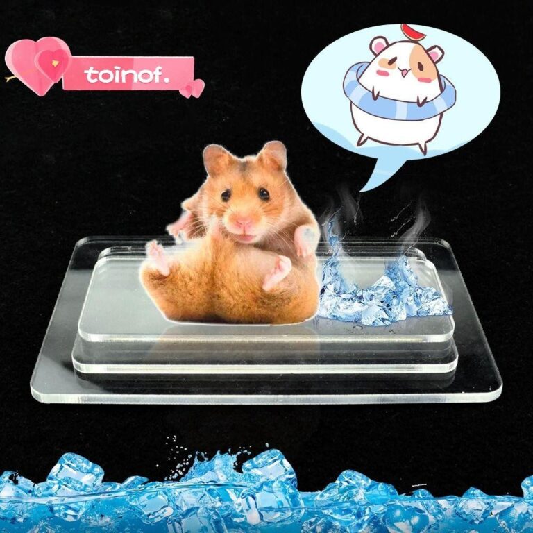 กระดานทาความเย็นหนูแฮมสเตอร์ TOINOF อุปกรณ์กระต่ายหนูแฮมสเตอร์ กระดานทาความเย็นสาหรับสัตว์เลี้ยงเย็น แผ่นน้าแข็งสาหรับสัตว์เลี้ยงอลูมิเนียมเงิน