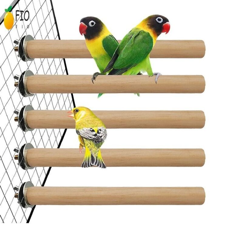 Love Bird Cocktail กรงแก้มสีเขียว บ้านนกมะพร้าวสาหรับนกสัตว์เลี้ยง