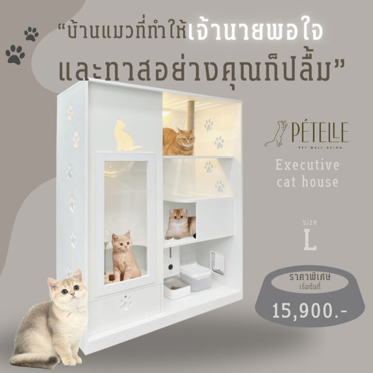 PTELLE Petelle L ไม่มีหน้าบานเลือกได้ 3 สี เข้ากับทุกสไตล์บ้าน