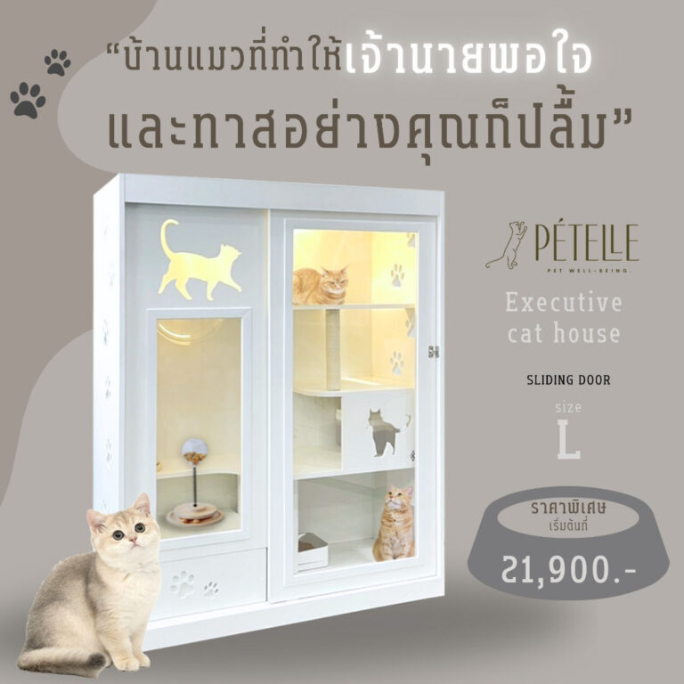 PTELLE TIKTOK Petelle L มีหน้าบานเลือกได้ 3 สี เข้ากับทุกสไตล์บ้าน