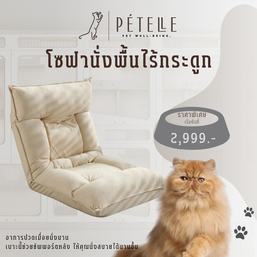 PTELLE โซฟาไร้กระดูก นั่งสบาย รองรับสรีระ หายปวดหลัง