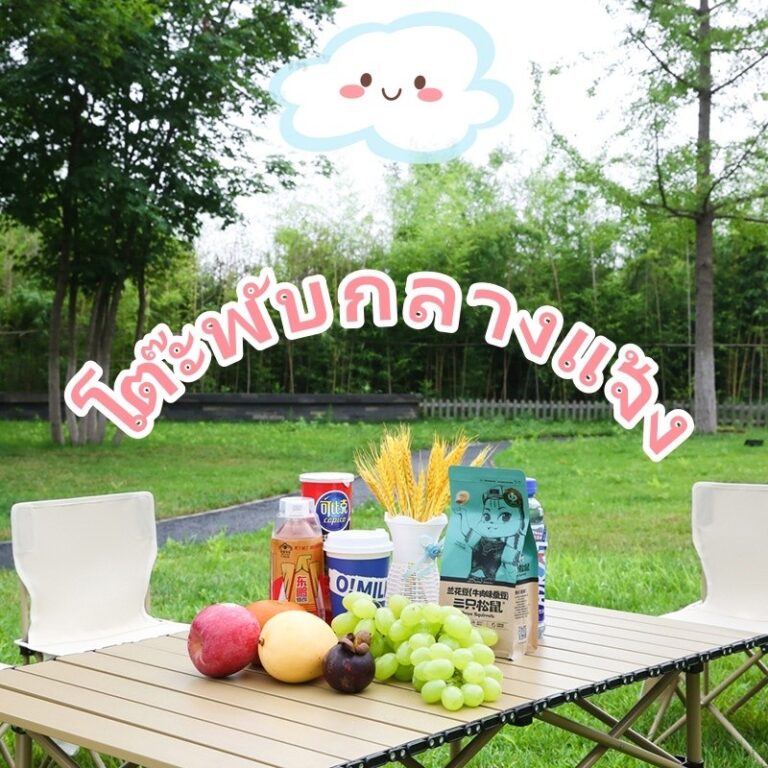 โต๊ะพับกลางแจ้งอลูมิเนียมสองชั้นแบบโรลแคร์สำหรับแคมป์ปิกนิกพกพาสะดวก