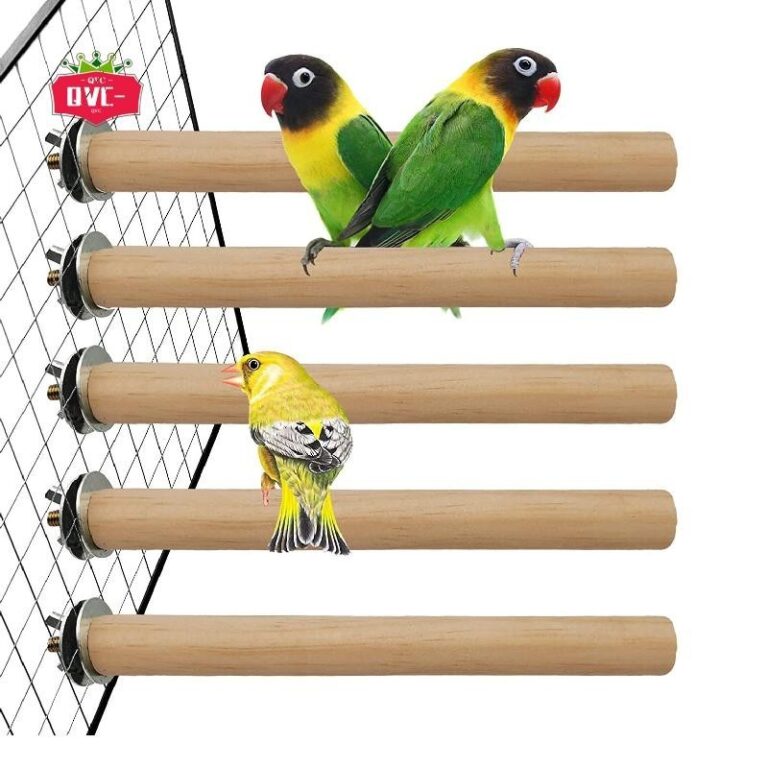 Love Bird Cocktail กรงแก้มสีเขียว บ้านนกมะพร้าวสาหรับนกสัตว์เลี้ยง