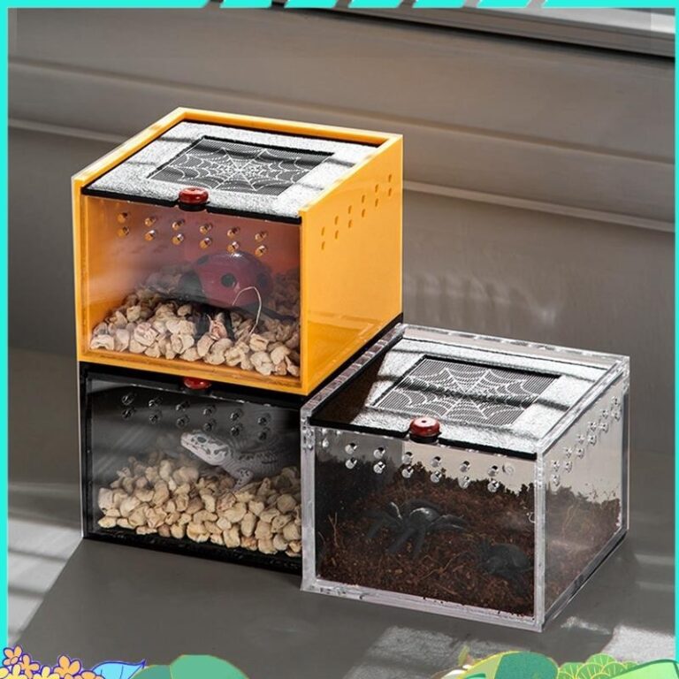 Spider Enclosure กล่องเพาะพันธุ์แมลงขนาดเล็กป้องกันการหนีสัตว์เลื้อยคลาน Terrarium กรงป้อนอาหารแมลง