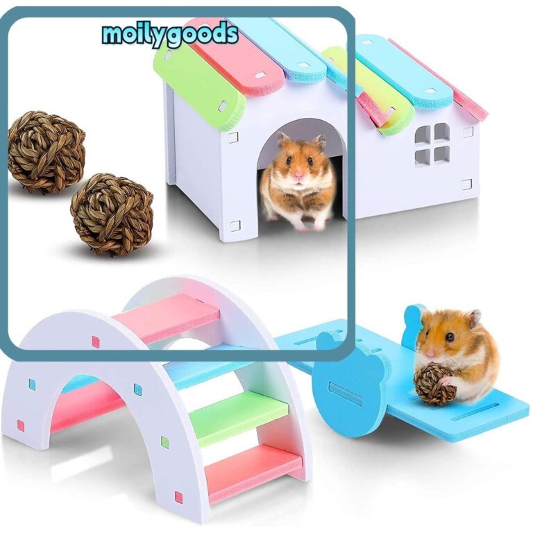 MOILYHD ของเล่นกระดานหกบ้านหนูแฮมสเตอร์สัตว์เล็กออกกาลังกายไม้