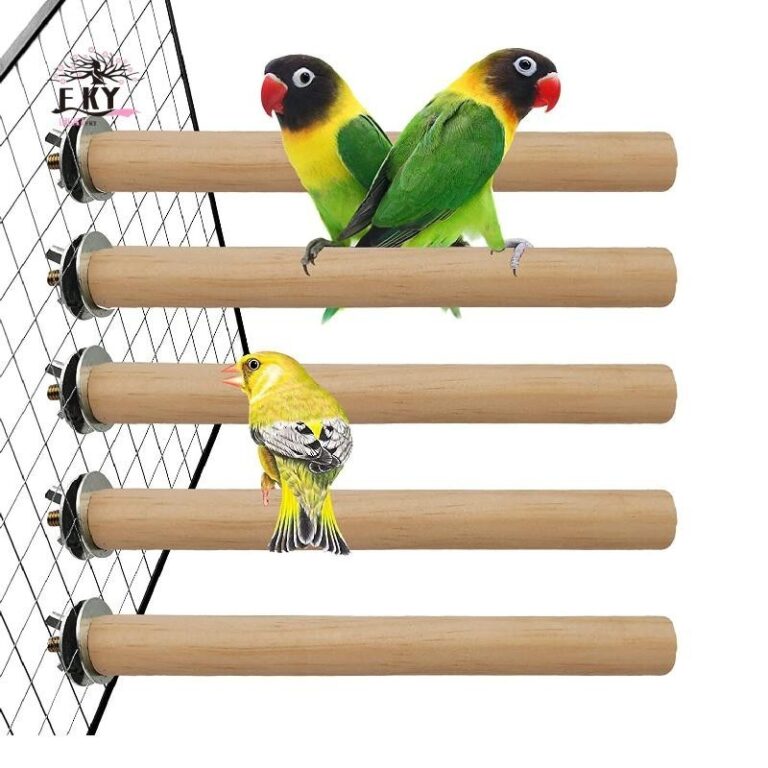 Love Bird Cocktail กรงแก้มสีเขียว บ้านนกมะพร้าวสาหรับนกสัตว์เลี้ยง