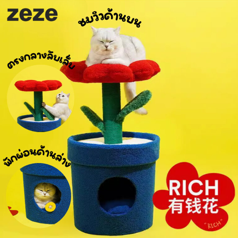 เข้า2011 Zeze คอนโดแมว ดอกไม้ร่ำรวยเสริมฮวงจุ้ย ที่นอนแมว บ้านแมว เฟอร์นิเจอร์แมว สุดน่ารัก
