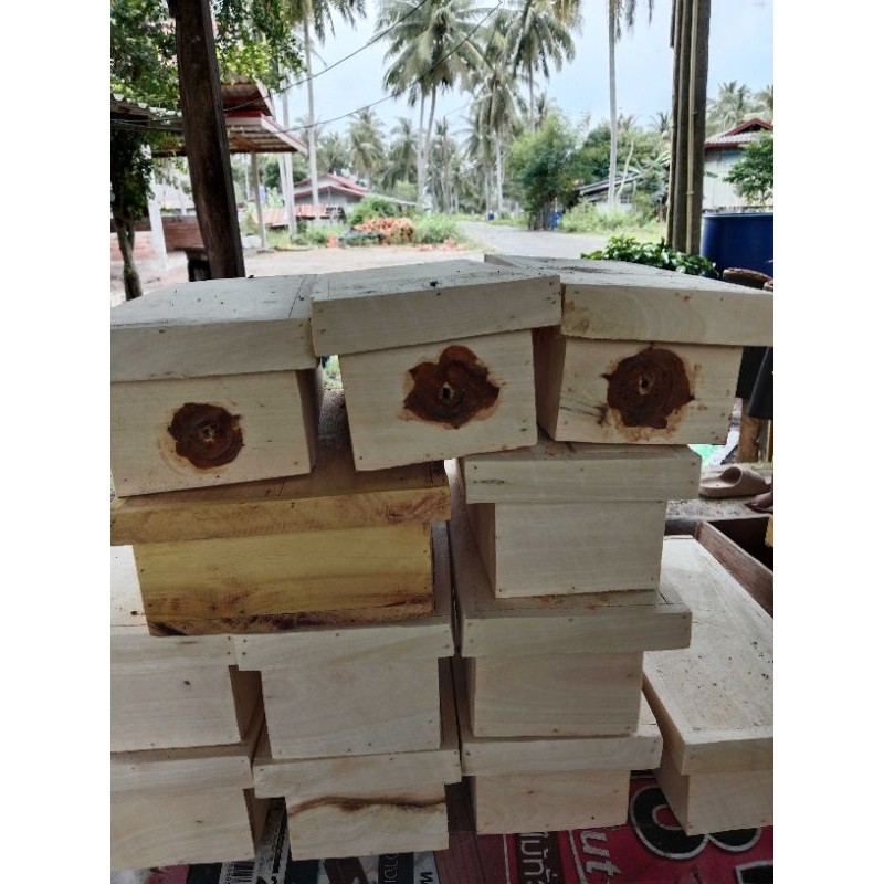 กล่องล่อชันโรงสายพันเล็ก