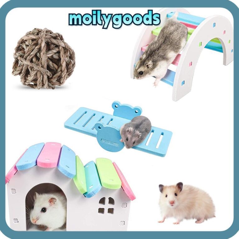 โมลี่เอชดี ของเล่นหนูแฮมสเตอร์สายรุ้งสัตว์เลี้ยงฟันเคี้ยวของเล่นสะพานฟันดูแลไม้