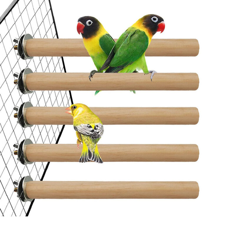 Love Bird Cocktail กรงแก้มสีเขียว บ้านนกมะพร้าวสาหรับนกสัตว์เลี้ยง