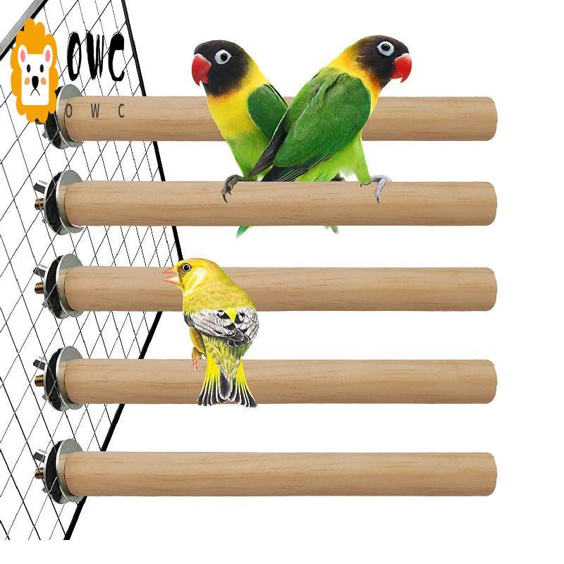 Love Bird Cocktail กรงแก้มสีเขียว บ้านนกมะพร้าวสาหรับนกสัตว์เลี้ยง