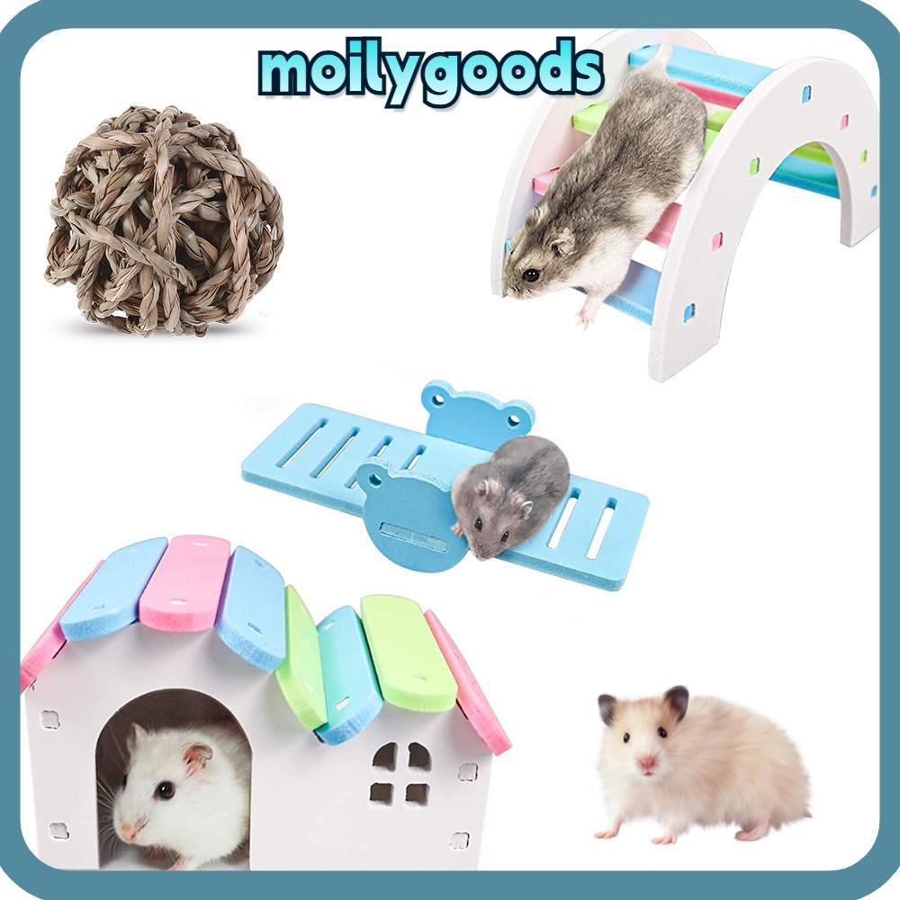 โมลี่เอชดี ของเล่นหนูแฮมสเตอร์สายรุ้งฟันดูแลสะพานออกกาลังกายไม้