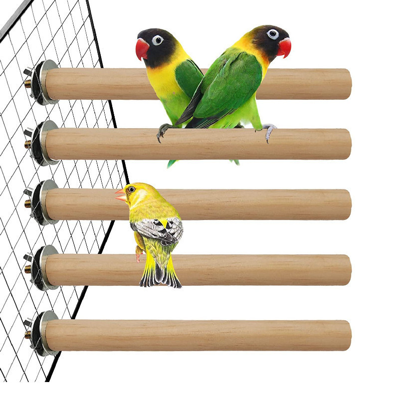 Love Bird Cocktail กรงแก้มสีเขียว บ้านนกมะพร้าวสาหรับนกสัตว์เลี้ยง