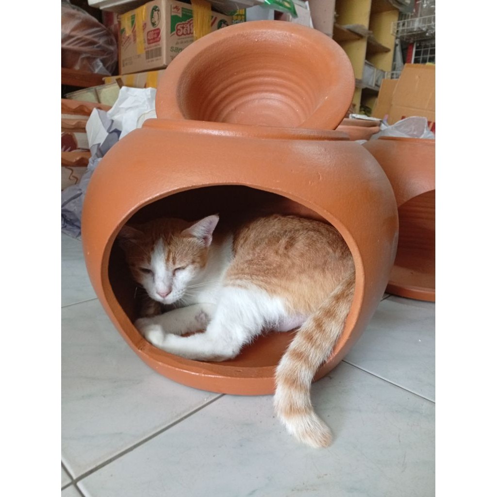 พร้อมส่ง ส่งด่วนฟรี แมว กระรอก กระแต กระต่าย มีฝาสำหรับปิด ใส่น้ำและน้ำแข็ง สร้างความเย็นรับประกันความเสียหายให้คะ