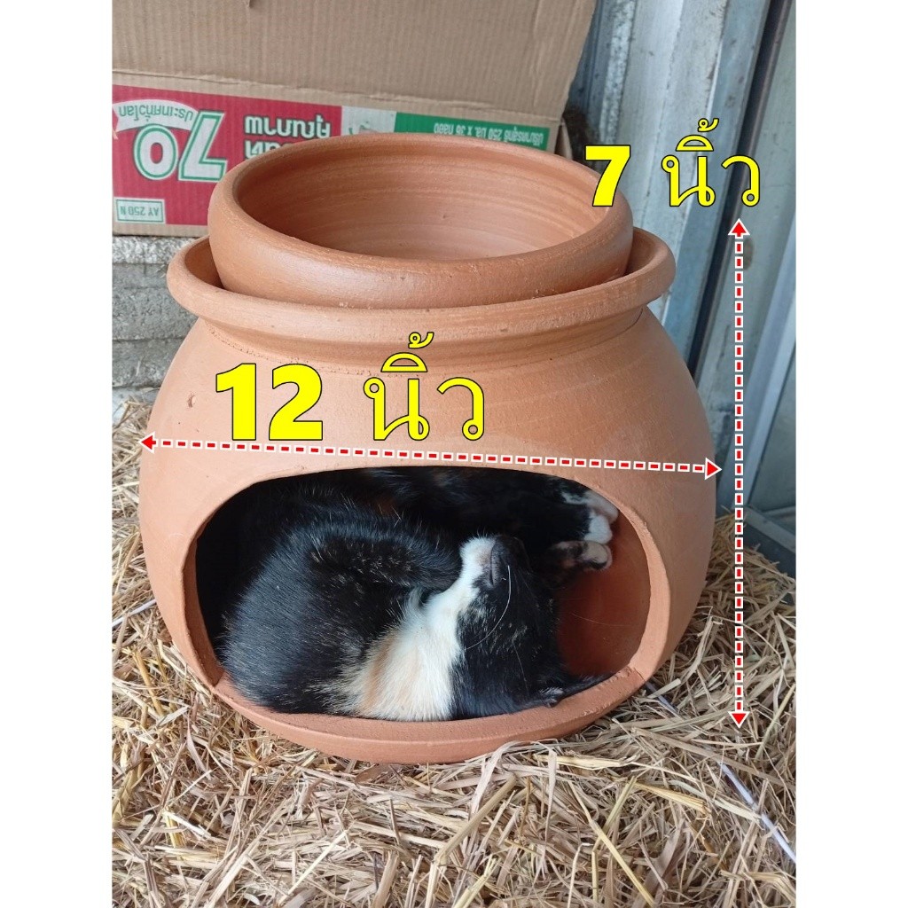 บ้านสัตว์เลี้ยง นก หนู เม่น กระรอก กระแต กระต่าย แมว หมา งู ชูก้า แฮมเตอร์ มีฝาปิดให้ทุกใบ ส่งเร็ว ส่งฟรี แตกร้าวกดรับเง